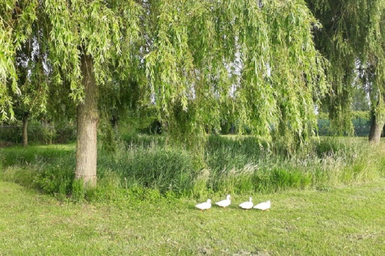 Vakantiewoning Goedgelegen Mb01 Middelburg Dış mekan fotoğraf